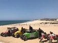 Baja Off-Road Adventure on Off-Road Motorcycle or Buggy