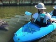 Thousand Island Mangrove Tunnel, Manatee & Dolphin Kayak Tour! 