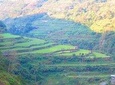 Banaue-Cambulo-Batad-Bangaan RICE TERRACES TOUR From Manila