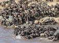 4 Days Masai Mara -Lake Nakuru National Park From Nairobi 