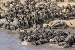 4 Days Masai Mara -Lake Nakuru National Park From Nairobi 