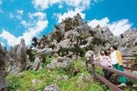 [Under service] Okinawa hip-hop bus 1-day tour C course