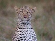 3 Days Serengeti Ngorongoro Crater