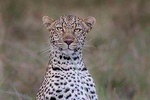 3 Days Serengeti Ngorongoro Crater
