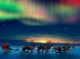 Fascinating hunt for the Northern Lights with private guide Rovaniemi 