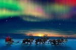 Fascinating hunt for the Northern Lights with private guide Rovaniemi 