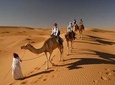 Camel Trekking Dubai with Morning Dune Bashing and Sand Boarding