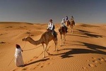 Camel Trekking Dubai with Morning Dune Bashing and Sand Boarding