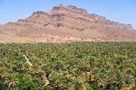 Private day trip from Marrakech to Ouzoud waterfalls