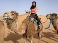 3 Days trip in a small group from FEZ to MARRAKESH passing by MERZOUGA