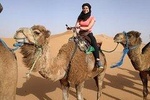 3 Days trip in a small group from FEZ to MARRAKESH passing by MERZOUGA