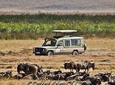 6 Day Wildlife Mid range Safari