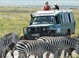 2 Days Joined Group Tarangire and Ngorongoro Crater National Park