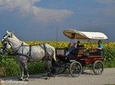 Food and wine tour