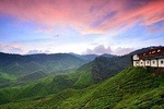 Cameron Highlands Hotels to Kuala Lumpur City 1-way Transfer