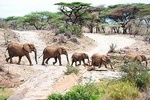 8 Day Safari (Including Serengeti) & Zanzibar Extension