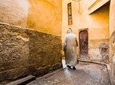A half-day guided visit at the heart of FEZ MEDINA