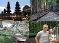 Private Tour:Taman Ayun Temple, Sangeh Monkey Forest With Jungle Swing