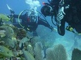 Discovery Scuba Diving !!