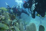 Discovery Scuba Diving !!