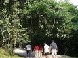 Mussoorie Nature Walk Tour