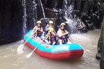 Private Ubud Tour