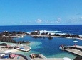 West Full Day: Skywalk, Porto Moniz Lava Pools, Fanal, Paul da Serra & more.... 