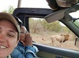 Safaris in Kruger National Park Full Day