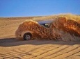 Dubai Desert Safari (with BBQ Dinner and more)