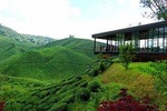 Cameron Highlands to Kuala Lumpur Airport