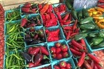 Vegan Eats in the East Village