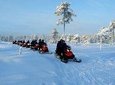 Snowmobile Safari into Arctic Wilderness