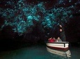 Waitomo Glowworm & Aranui Twin Cave Experience