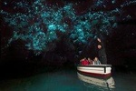 Waitomo Glowworm & Aranui Twin Cave Experience