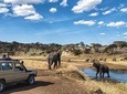 3 Day Private camping Safari in Serengeti National Park
