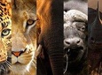 4-Day Serengeti, Ngorongoro,Tarangire safari 