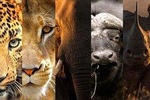 4-Day Serengeti, Ngorongoro,Tarangire safari 