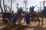  Quad + Camel Ride