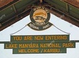 1 Day Joined Group Safari in Lake Manyara
