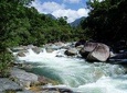 Daintree Rainforest, Cape Tribulation, Mossman Gorge Small-Group Day Tour 
