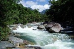 Daintree Rainforest, Cape Tribulation, Mossman Gorge Small-Group Day Tour 