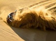 Morning Desert Safari with Sand boarding & Camel Ride Am Tour