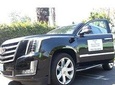 Las Vegas to Hollywood Tour