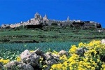 Mdina, Rabat, Dingli cliffs, San Anton gardens, Ta' Qali & Mosta guided tour