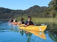 Half day kayak excursions.