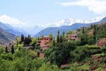 Small Group Day Tour to Ourika Valley from Marrakech