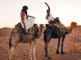 Camel Riding in Agadir
