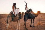 Camel Riding in Agadir