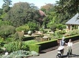 Private City Walking Tour from your hotel