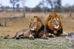 3 Days Shared Safari Tour 